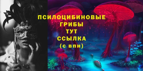 гидропоника Кулебаки